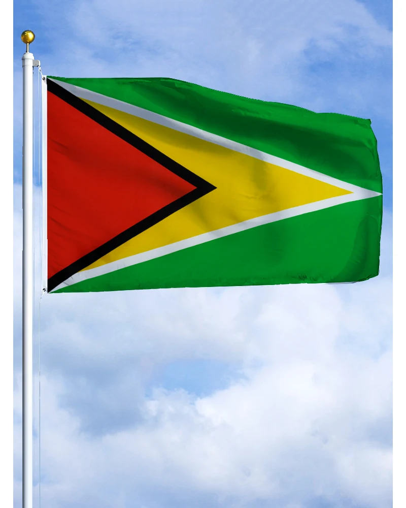 60×90 90x150 120×180CM Guyana Guyanan Emblem Flag Polyester Printed Banner Tapestry For Decor