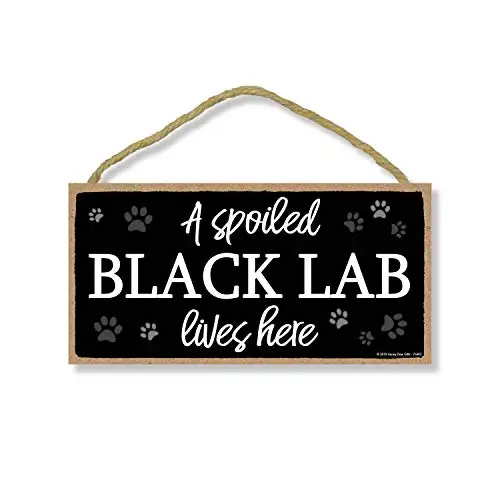 Honey Dew Gifts A Spoiled Black Lab Lives Here  Hanging Black Lab Decor, Wall Art, Decorative Wood Sign Home Decor, Black Lab Gi