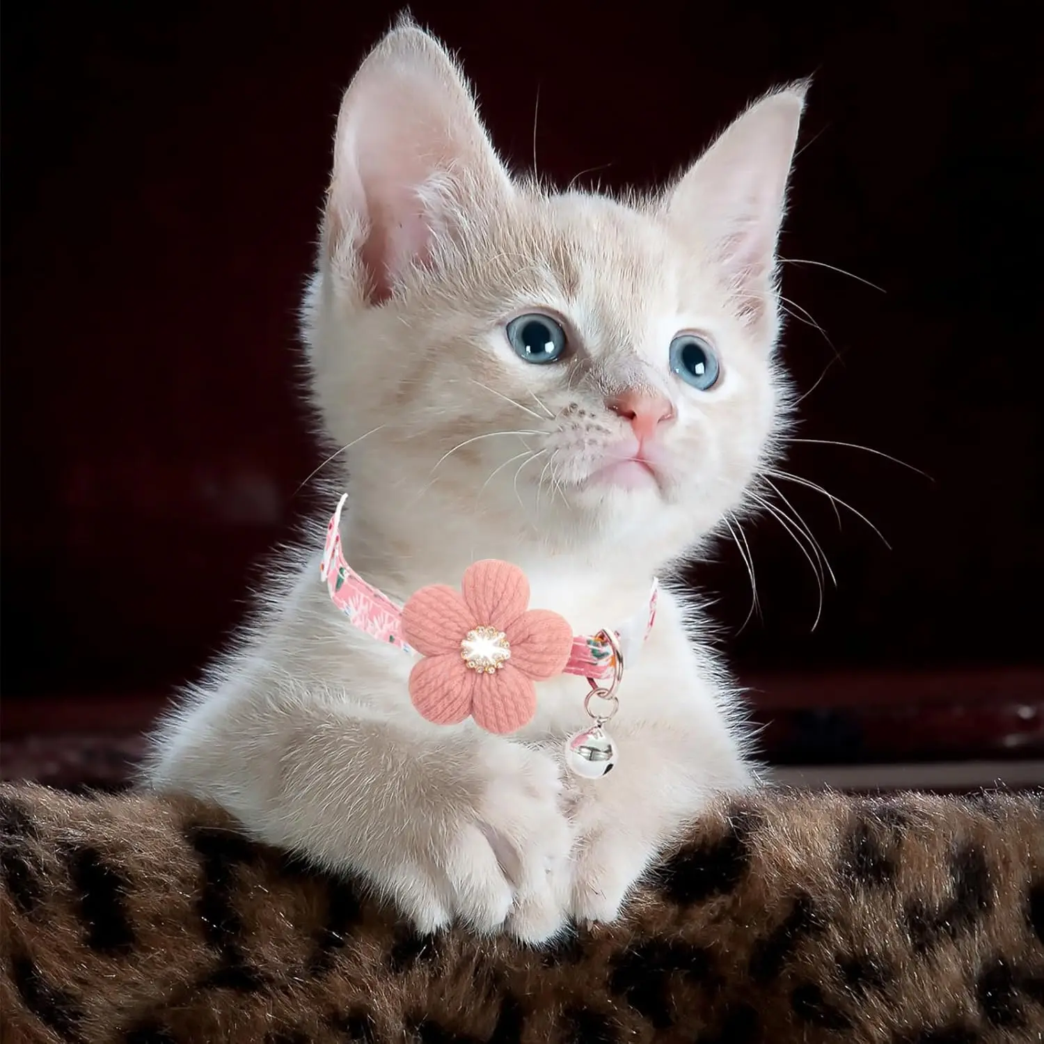 Katzenhalsband, abreißbares Kätzchenhalsband mit Blumen-Strasssteinen, Kitty-Halsband mit Glöckchen, florales Haustierhalsband mit für Katzen und Welpen – Detail 4