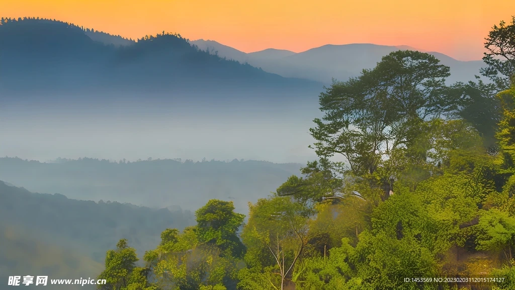 

4Pcs 1607 Motor sin escobillas 2800KV 3850KV CW/CCW 2-4S Lipo para Dron de carreras de control remoto de largo alcance Frees