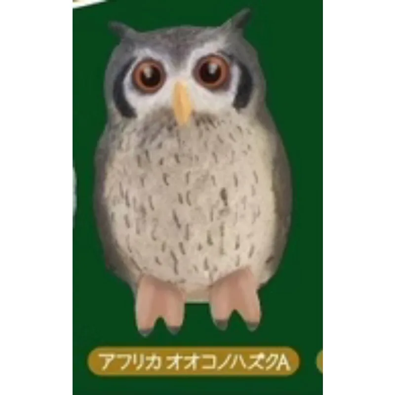 Original SHINEG Gashapon HAPPY OWLS Qversion Mini Anime Action Figure Model Toys Gifts Cartoon Character Collection Ornament