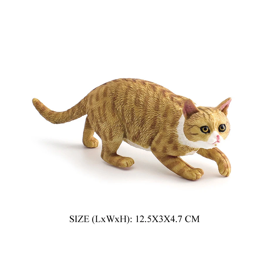 Cat -16
