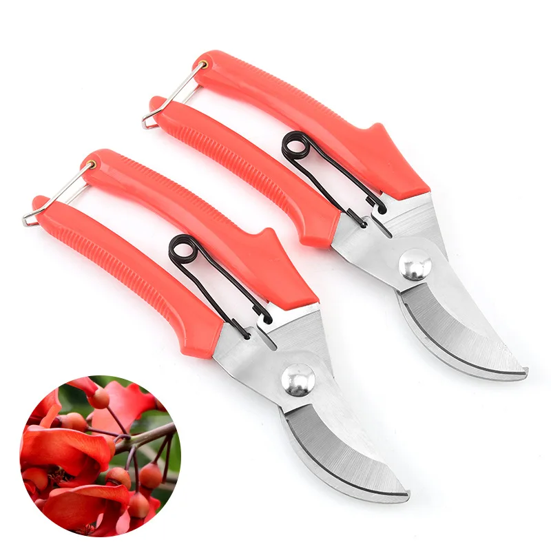 Секаторы из нержавеющей стали — садовые ножницы для обрезки цветов и ветвей — профессиональный садовый инструмент Секаторы из нержавеющей стали — садовые ножницы для обрезки цветов и ветвей — профессиональный садовый инструмент