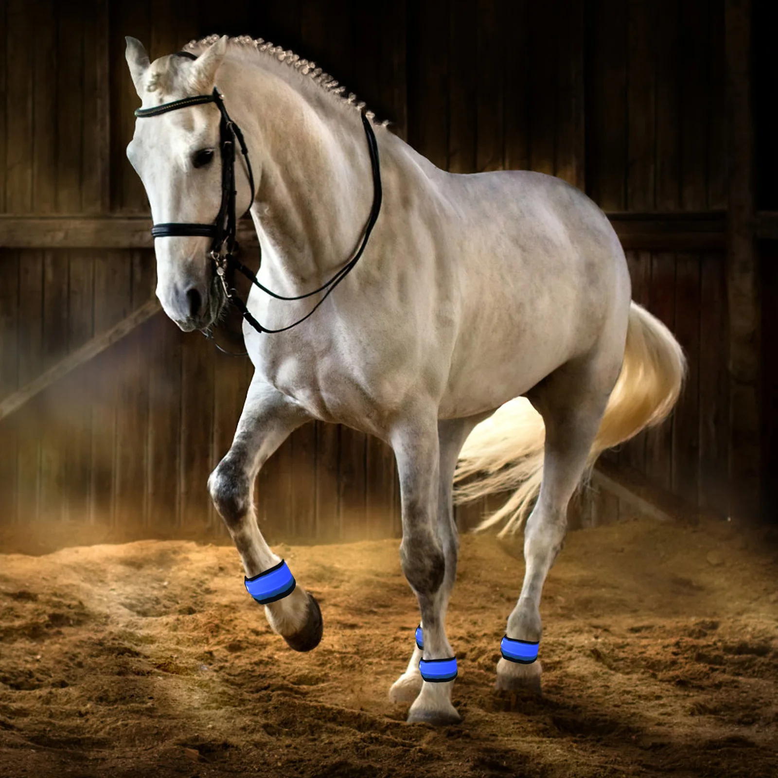 

4Pcs LED Horse Leg Wrap Straps Durable Adjustable High Visibility Horse Riding Accessories Outdoor Night Supplies