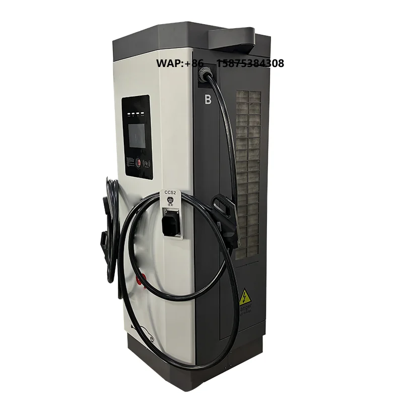 Ruitang Factory Wholesale Price 80KW DC EV Charger Level 2 Commercial EV Charger Station CCS Double  Floor-Mounted IP54