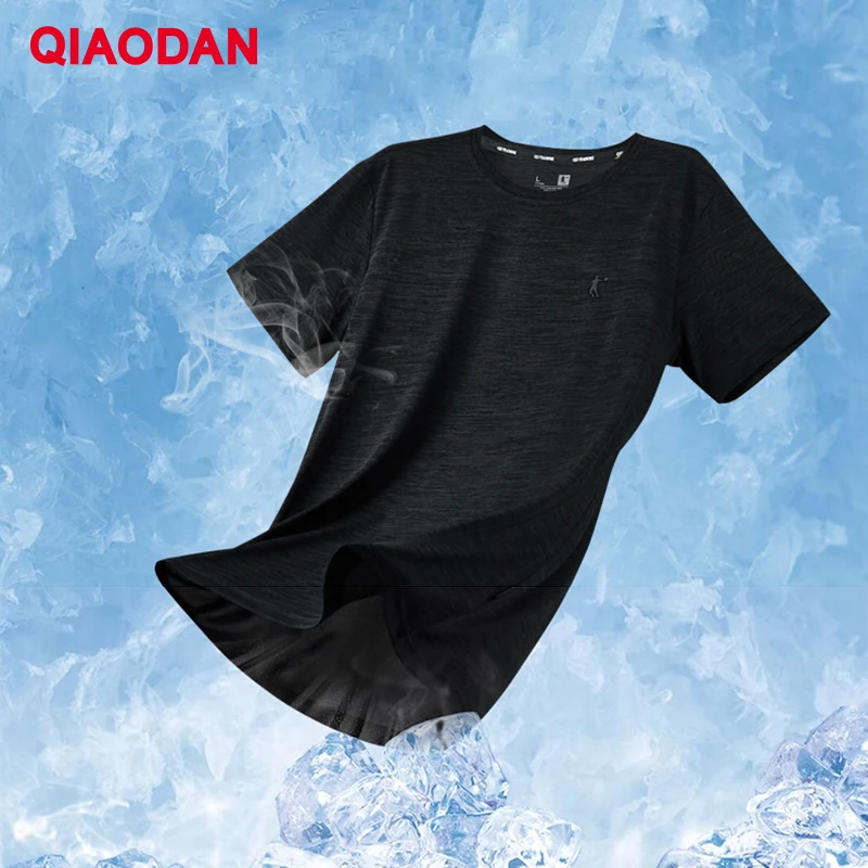

QIAODAN Quick-Drying Short Sleeve T-Shirt Men's 2025 Summer Lightweight Breathable Fitness Sports Casual Short Top XHS23231326R