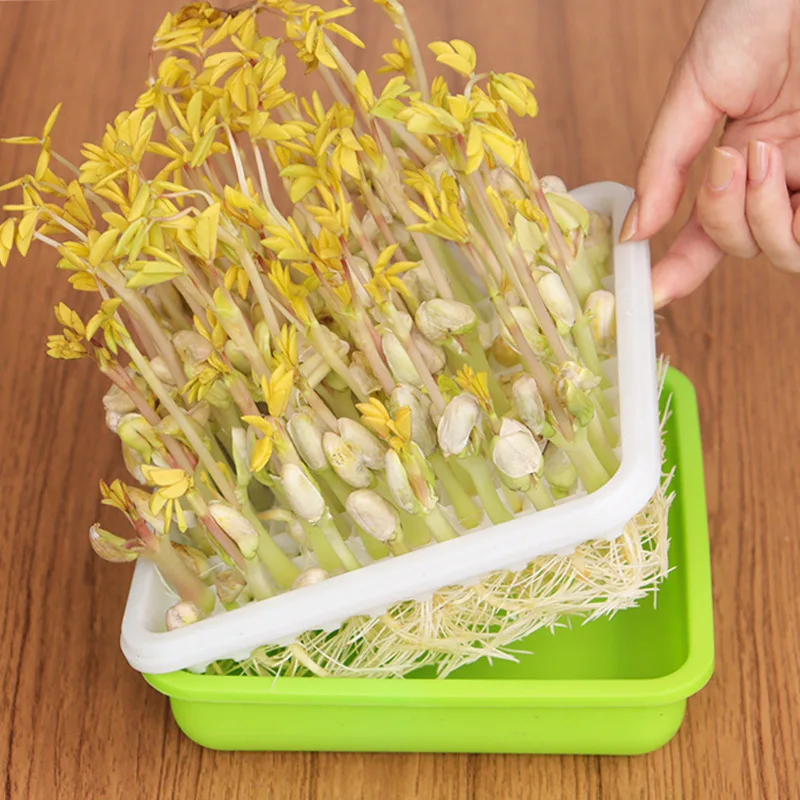 Olla para brotes de soja A1, olla para germinación, cultivo sin suelo, plantación de vegetales, plato para plántulas, caja hidropónica para brotes, maní