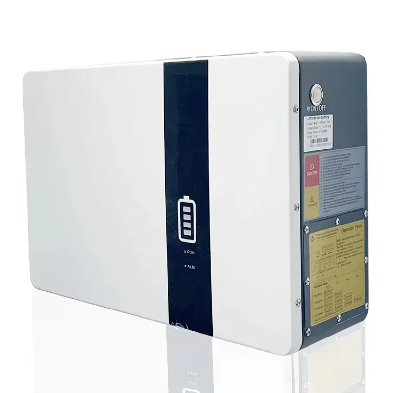 壁掛け式 51.2V 50Ah 100Ah 200Ah リチウムイオン電池 サプライヤー 充電器ケース ソーラー Lifepo4 リン酸鉄リチウム電池 BMS付き