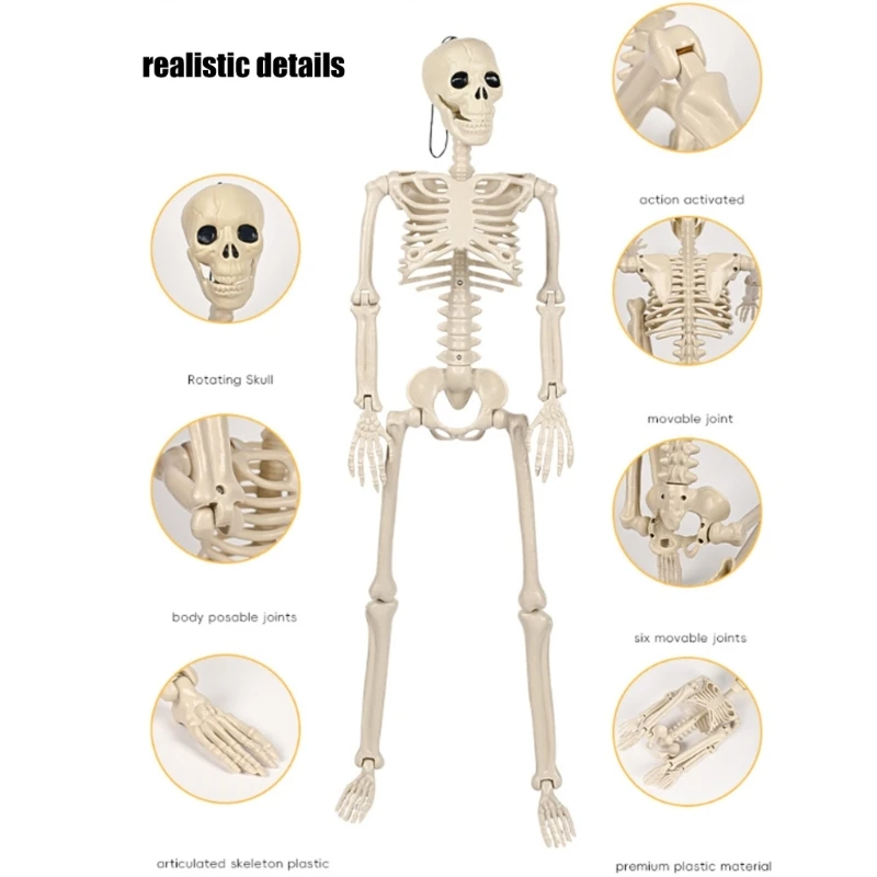 Full Body Hanging Skeleton with Movable Joints for Halloween Haunted House Props