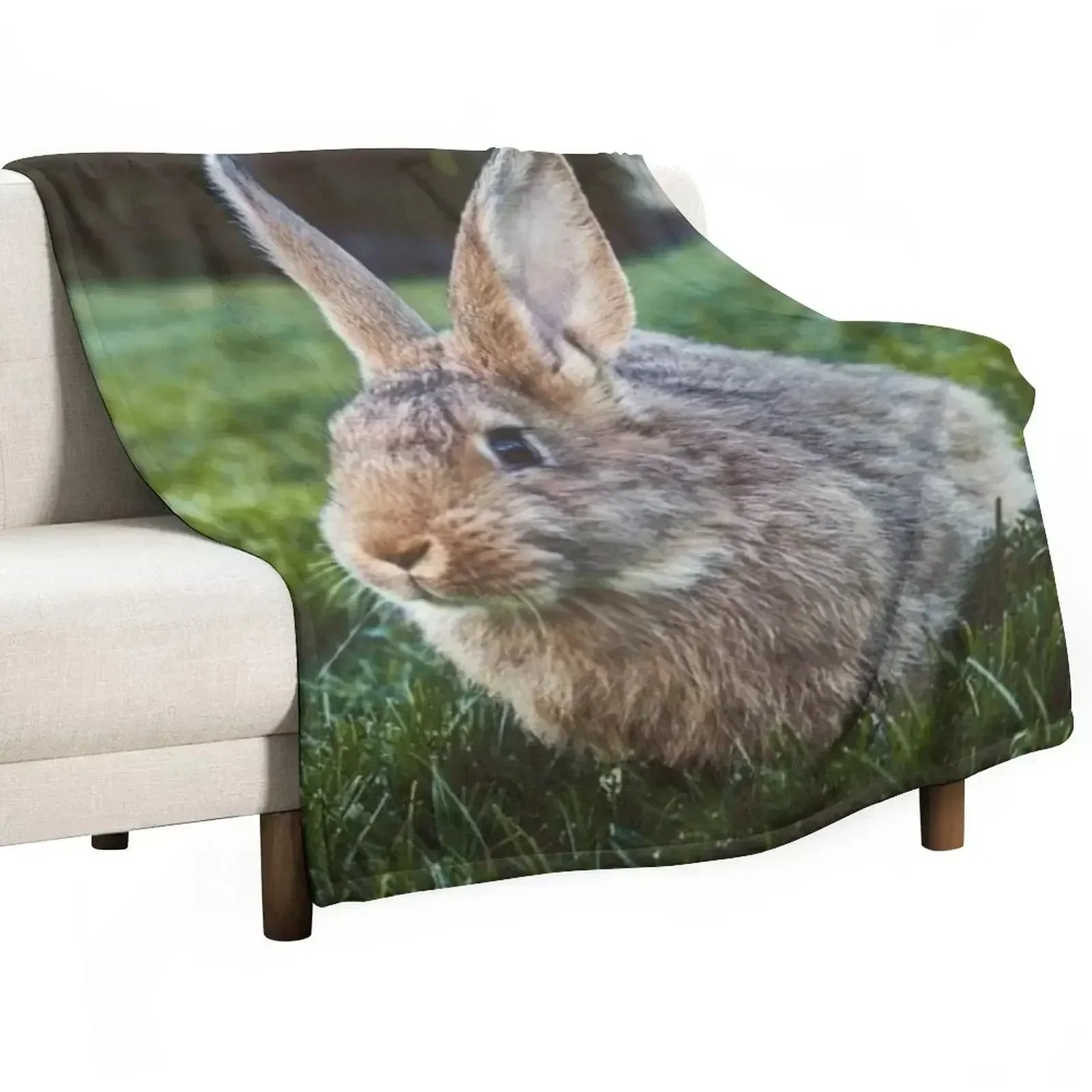 Flemish Giant Rabbit Throw Blanket Sofa Quilt Soft Big Picnic Blankets For Baby Furry Thin Blankets