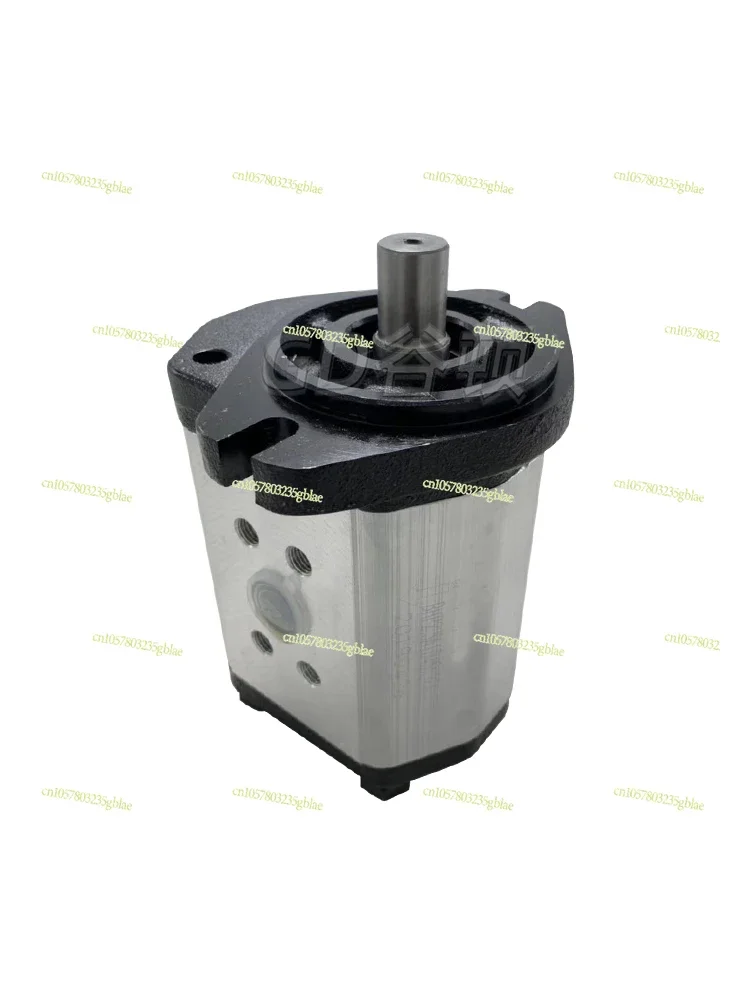 

Gear Pump BHP2.5A1D45C1F1/BHP2.5A1D40C1F1/BHP2.5A1D36C1F1