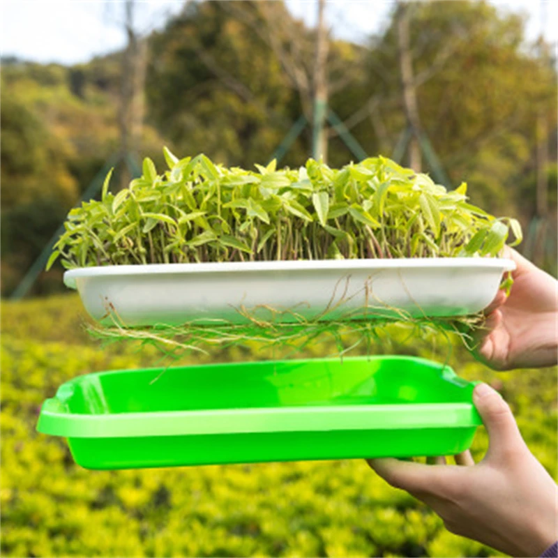 1pc Seed Sprouter Tray Soil-Free Big Capacity Microgreens Hydroponic Tray 33.7cm X 24.5cm X4.2cm for Sprouts Gardening Supplies