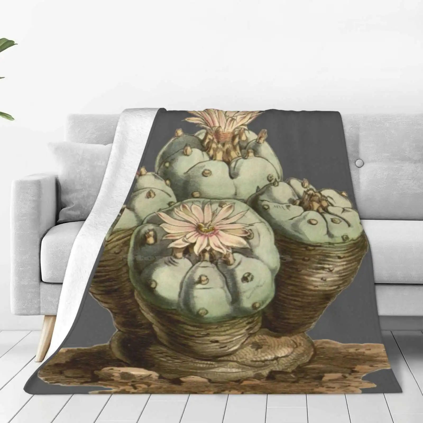 Lophophora Williamsii/Peyote-manta suave con ilustración botánica antigua, cómoda, de alta calidad, para cama, sofá, Cactus, Peyote, 1847