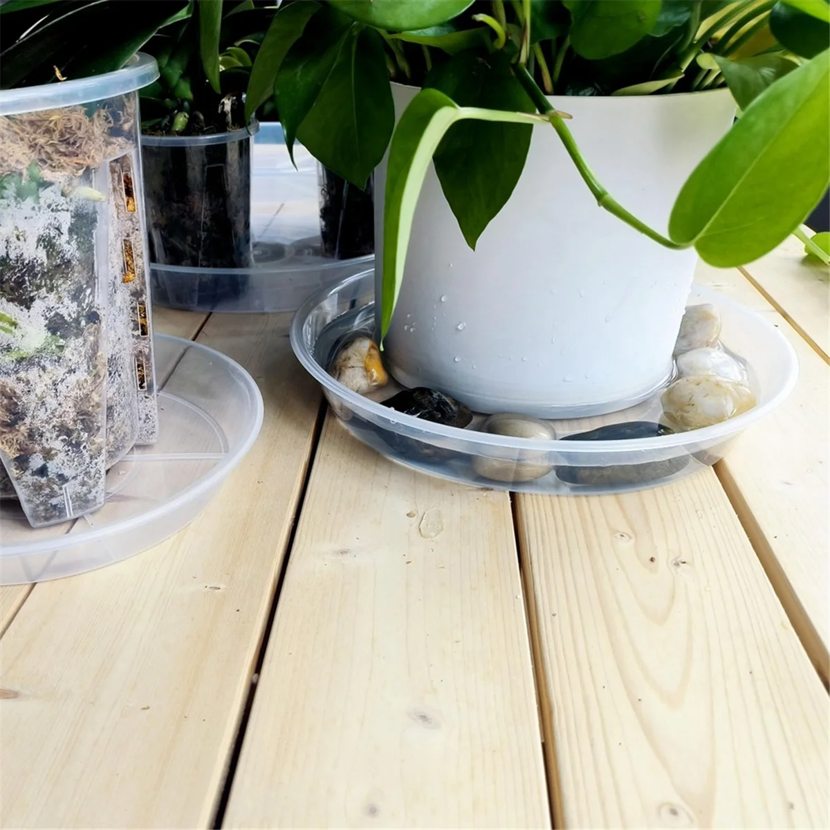 屋内および屋外の庭用の透明なプラスチックソーサー、植物ソーサー、耐久性のある、より厚い植物トレイ、植木鉢、12インチ、4パック