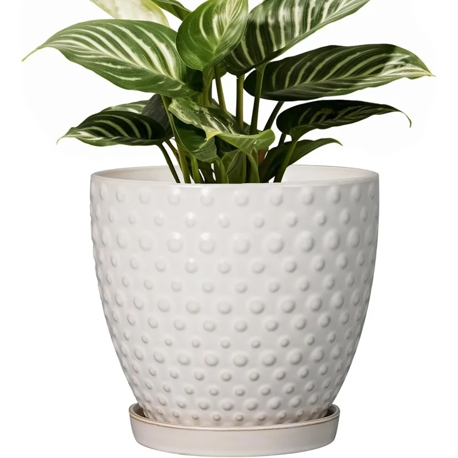 

6 Inch Ceramic Plant Pot with Drainage Hole and Saucer Round Planter Drative Flower Plant Pot for Indoor Plants Outdoor White