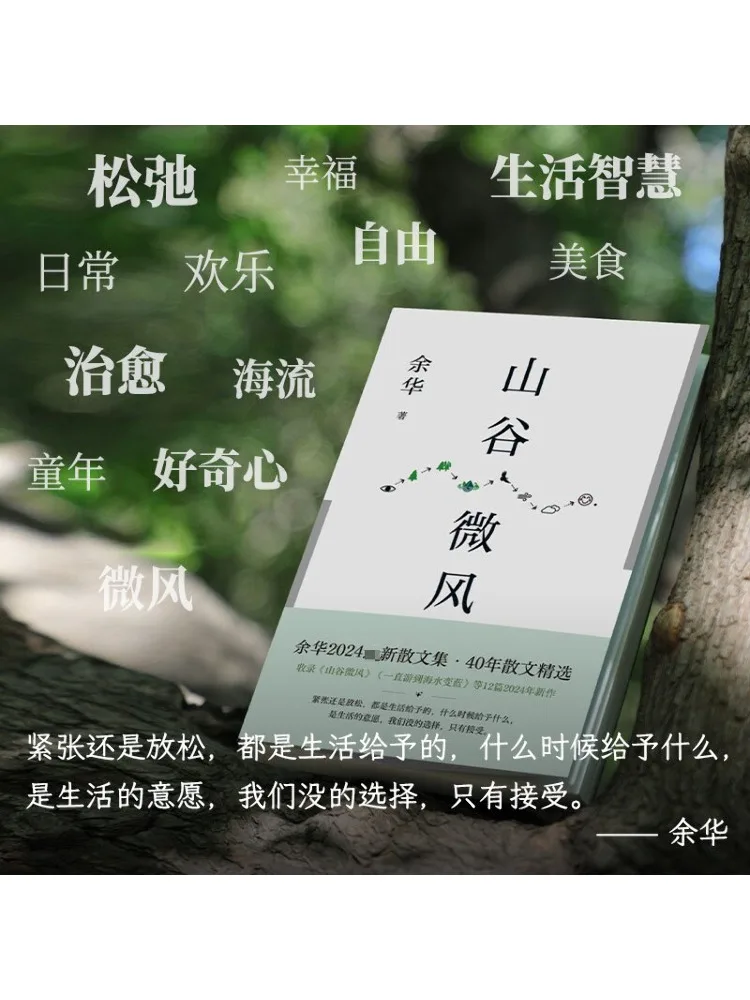 Buku-Winshare Yu Hua "Valley Breeze" "We Live in a Huge Gap" Edisi Terbaru 2 Volume Total