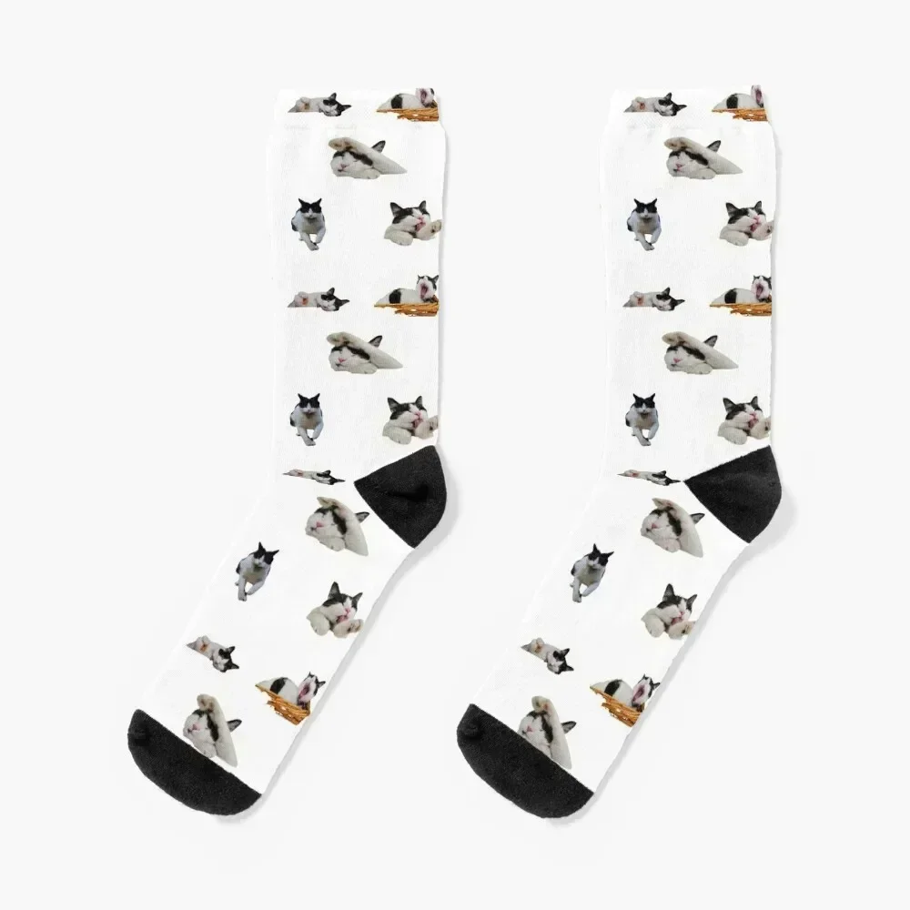 Happy Dapping Cat Socks Sports aesthetic floor Men Socks Women's