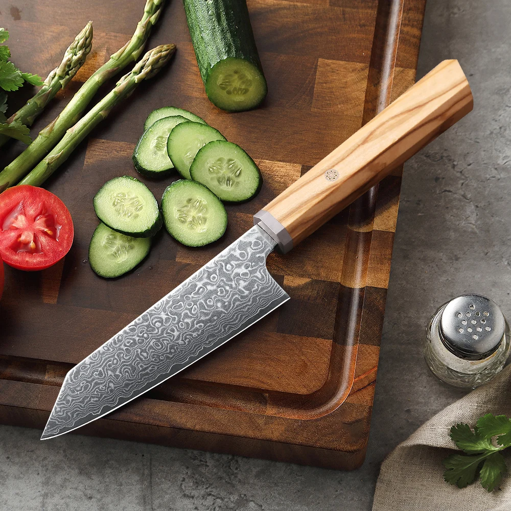 MOSTODOZO 5 inch Kitchen Utility Knife Real 67 Layer Damascus Super Steel Cooking Chef Knife Pretty Sharp Peeling Fruit Knife