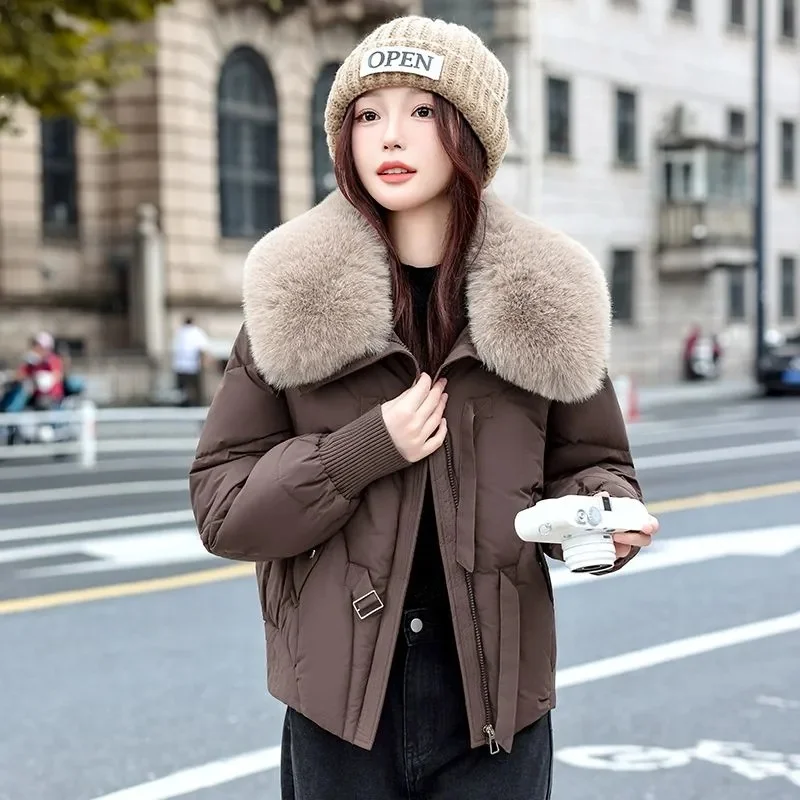 

Winter New Fur Collar Down Cotton Jacket Women's Korean Cotton-Padded Thicken Warm Parkas Short Coat Female Casual Outerwear