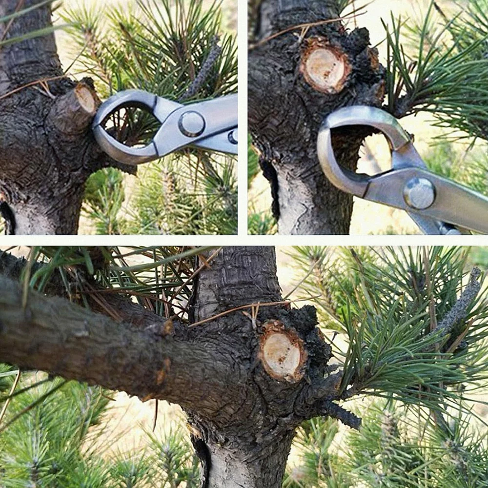 Drie modellen bonsaischaren zi - Concave Branch Cutter recensie en prijs
