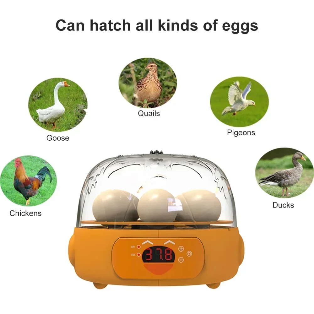 Mini Digital 6 Eggs Incubator Automatic Temperature Brooder Chicken Duck Bird Egg Hatcher Farm Poultry Hatchery Machine