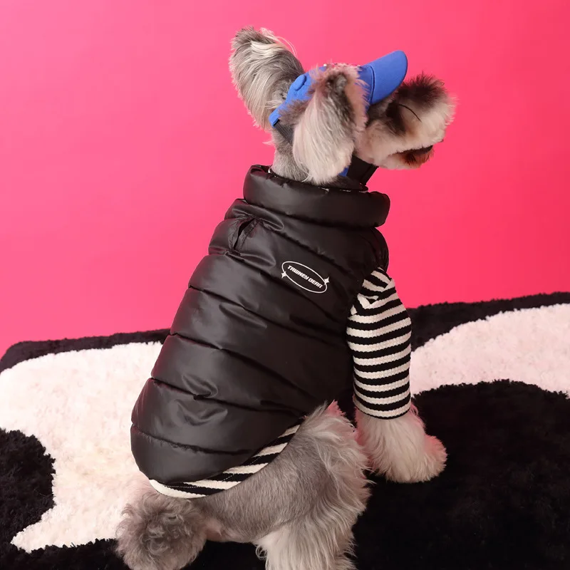 Autumn and winter thickened warm down vest, small dog down jacket sleeveless vest