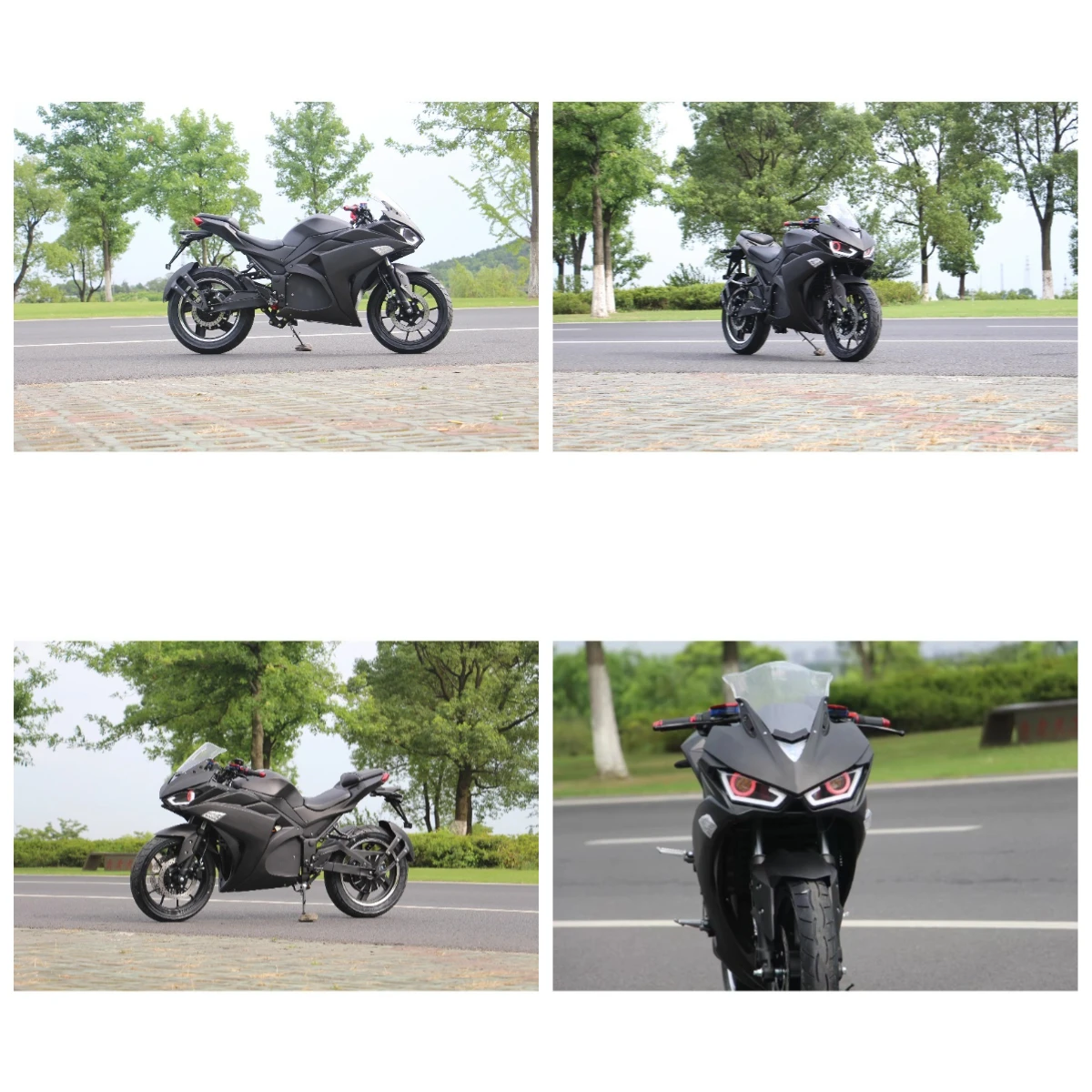 

Krono Wild High Quality Customized Electric Motorcycles With Speed Of 80km/h