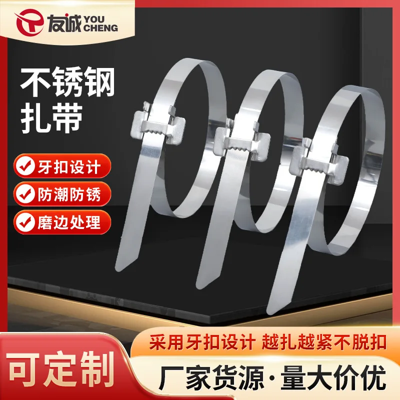 

Custom.304 Stainless Steel Ribbon Self-Locking Tightening Outdoor High Temperature Resistant Marine Binding 4.6*250 Stainless St