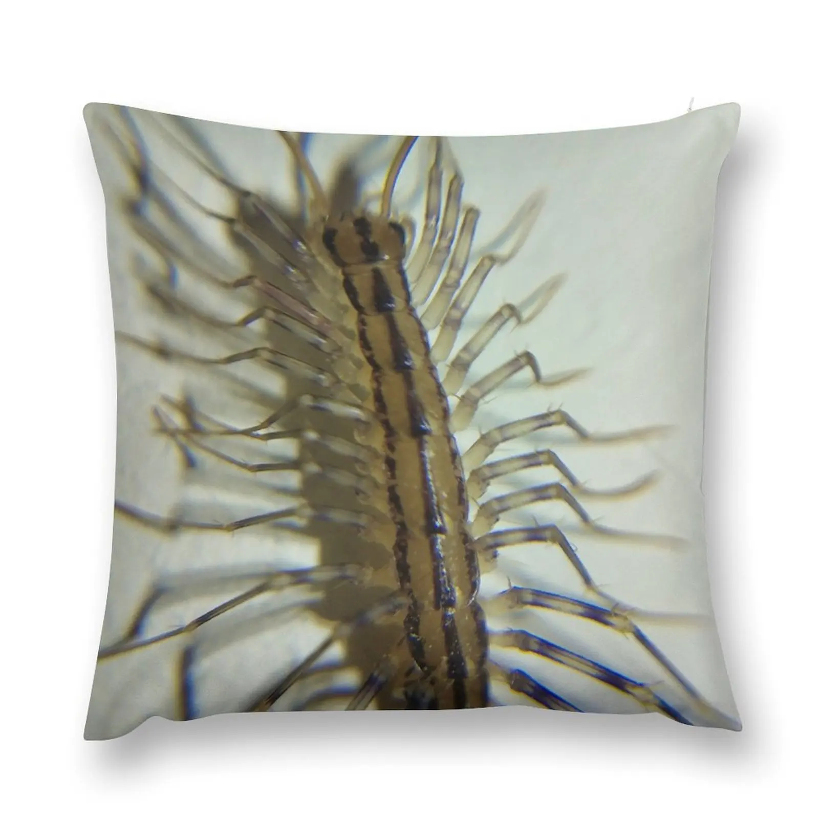 House Centipede Nymph Throw Pillow Pillow Case Pillowcase Cushion pillow