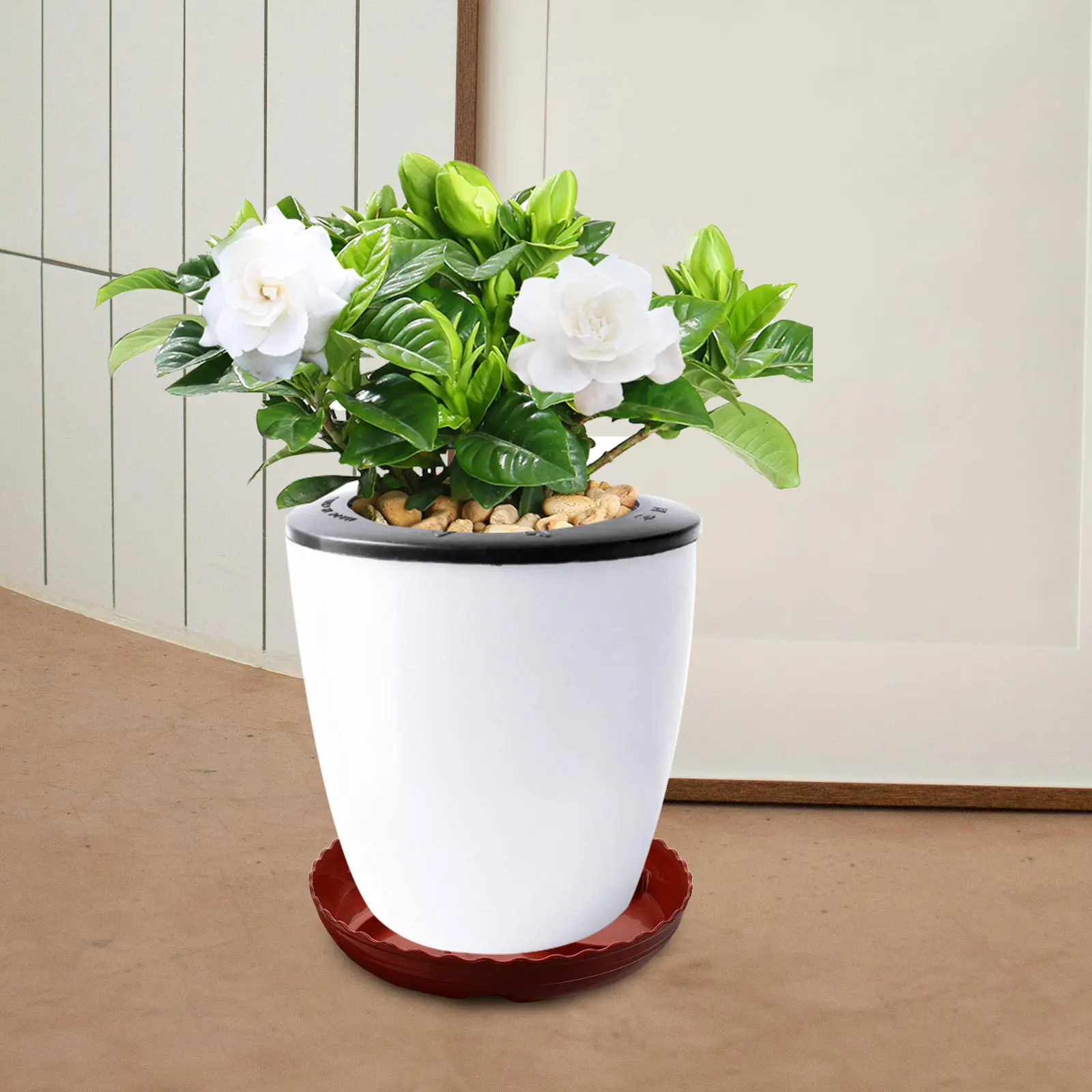2Pcs Plant Pot Tray Round Plastic Flowerpot Saucer Water Catcher Drip Tray for Bonsai Indoor Garden Plants Flower Pot Trays