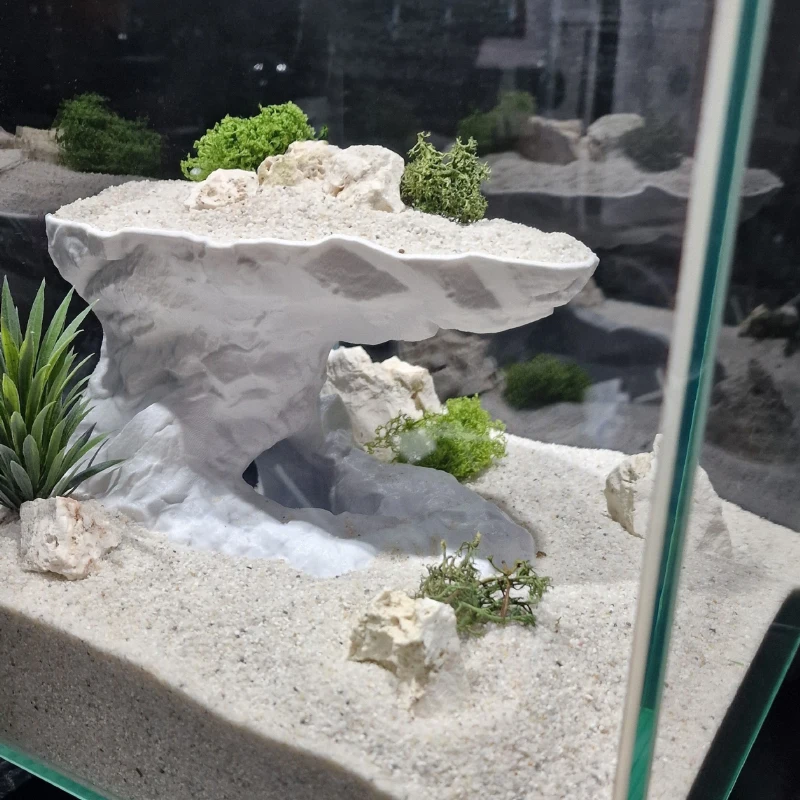 

Бесплатный фрахт、декор для аквариума、Убежище、коряга для аквариума натуральная、декорации для аквариума、коряга для аквариума、аквариумные аксессуары、все для аквариума、декор в аквариум、декорация для аквариума