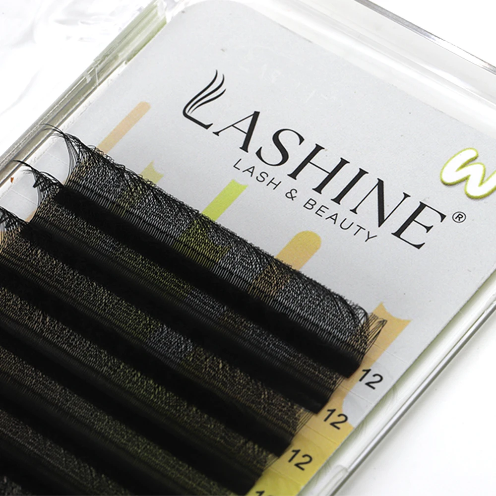 LASHINE 5 PCS 3D W Shape Eyelash Extensions Premade Volume Fans 3D Indivisual Cluster Auto Flower False Eyelash Makeup Tools