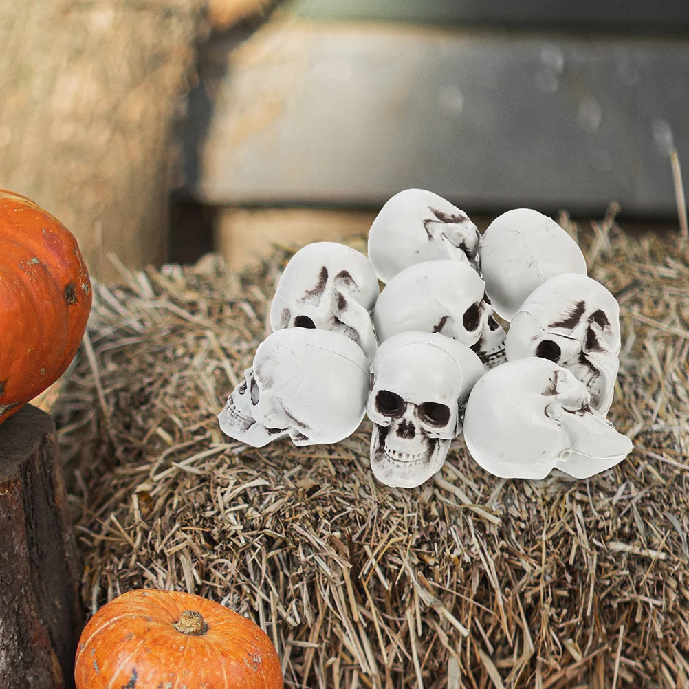 

10 Pcs Skull Props Tabletop Decoration Small Skulls Halloween Ornament Models Skeletons Plastic Mini Heads Artificial