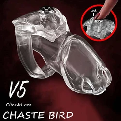 CHASTE BIRDHT-V5 Click&Lock Vorhängeschloss Keuschheitsgürtel für Männer Bdsm Cock Cage PenisringMännliche Masturbationsspielzeuge Fetisch Sexspielzeug