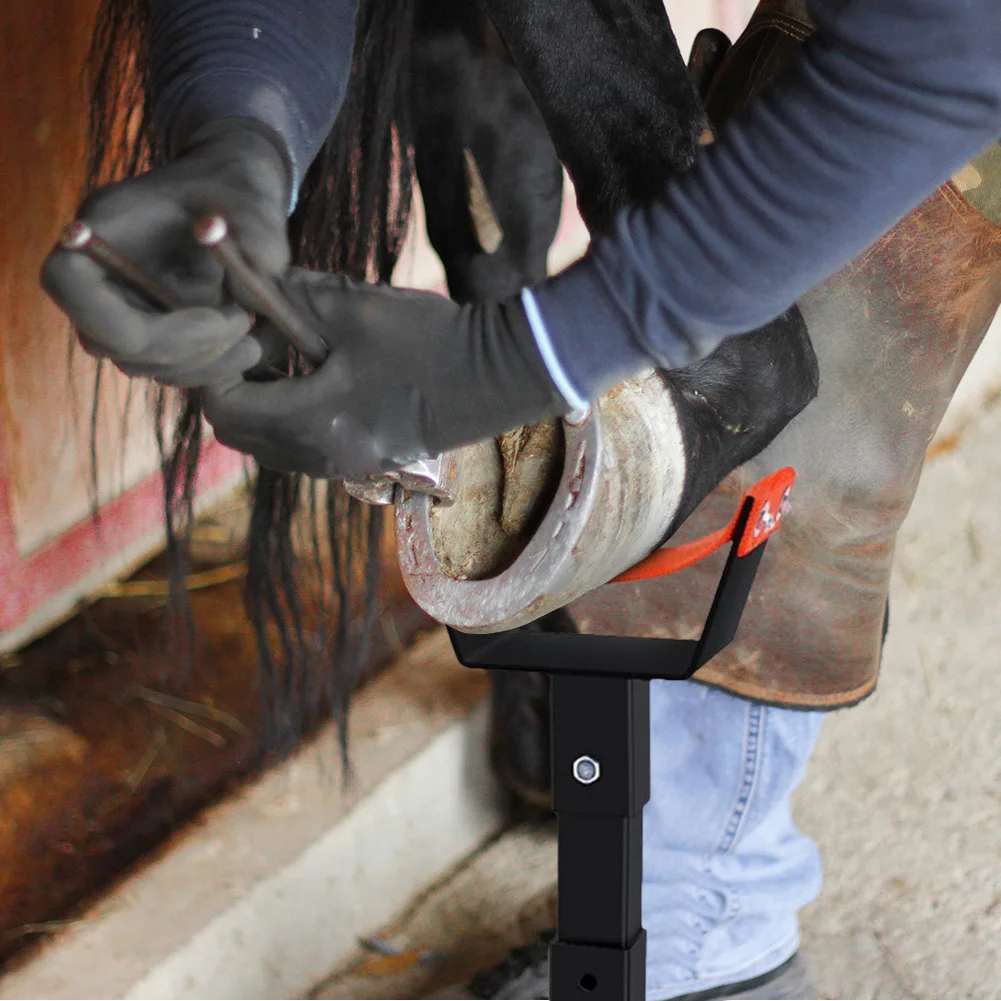 حامل Farrier قابل للتعديل، حامل حافر معدني، حامل حافر الحصان Farrier لتقليم الحصان، حذاء حافي القدمين