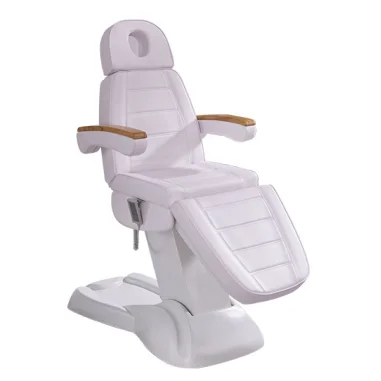 

Electric Beauty Bed Massage Table Facial Bed Foldable Lift Fully Automatic Physiotherapy Massage Bed Equipment Furniture