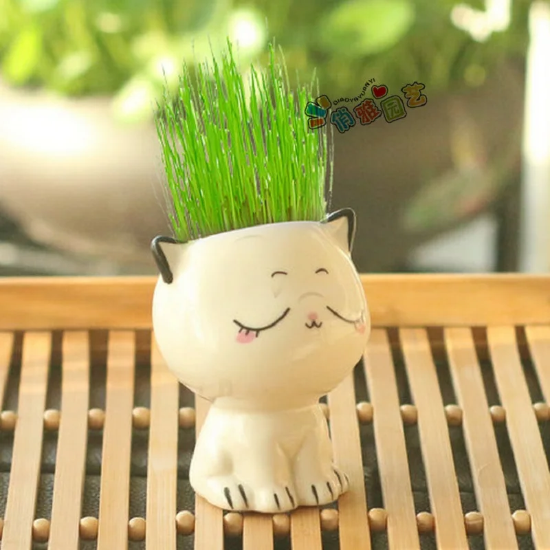 Ceramic Flowerpot Mini Cat Shaped Cartoon Cute Potted Plant Desktop Potted Expression Cat Plant Pot Desk Decorate Small Ornament