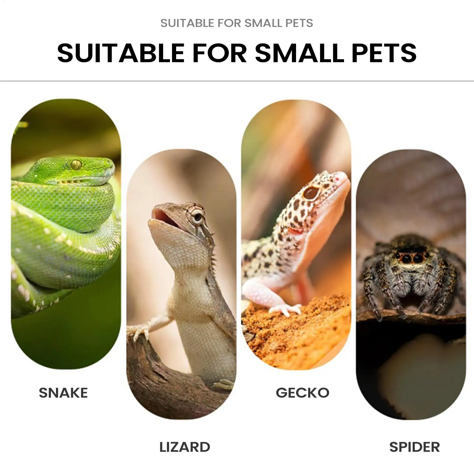 Thumbnail 4 - #11 Best Selling Pet Habitat Decors