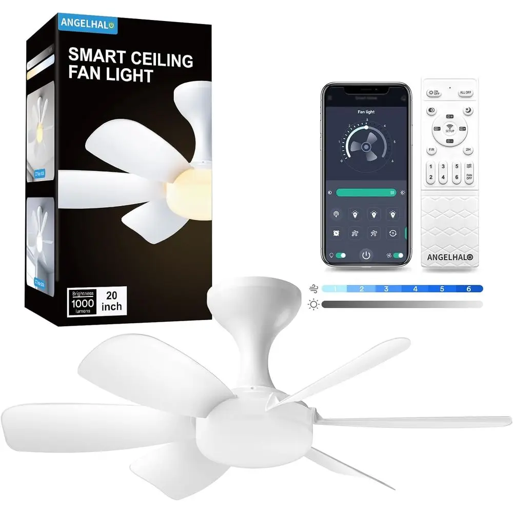 Ceiling Fan With Li…