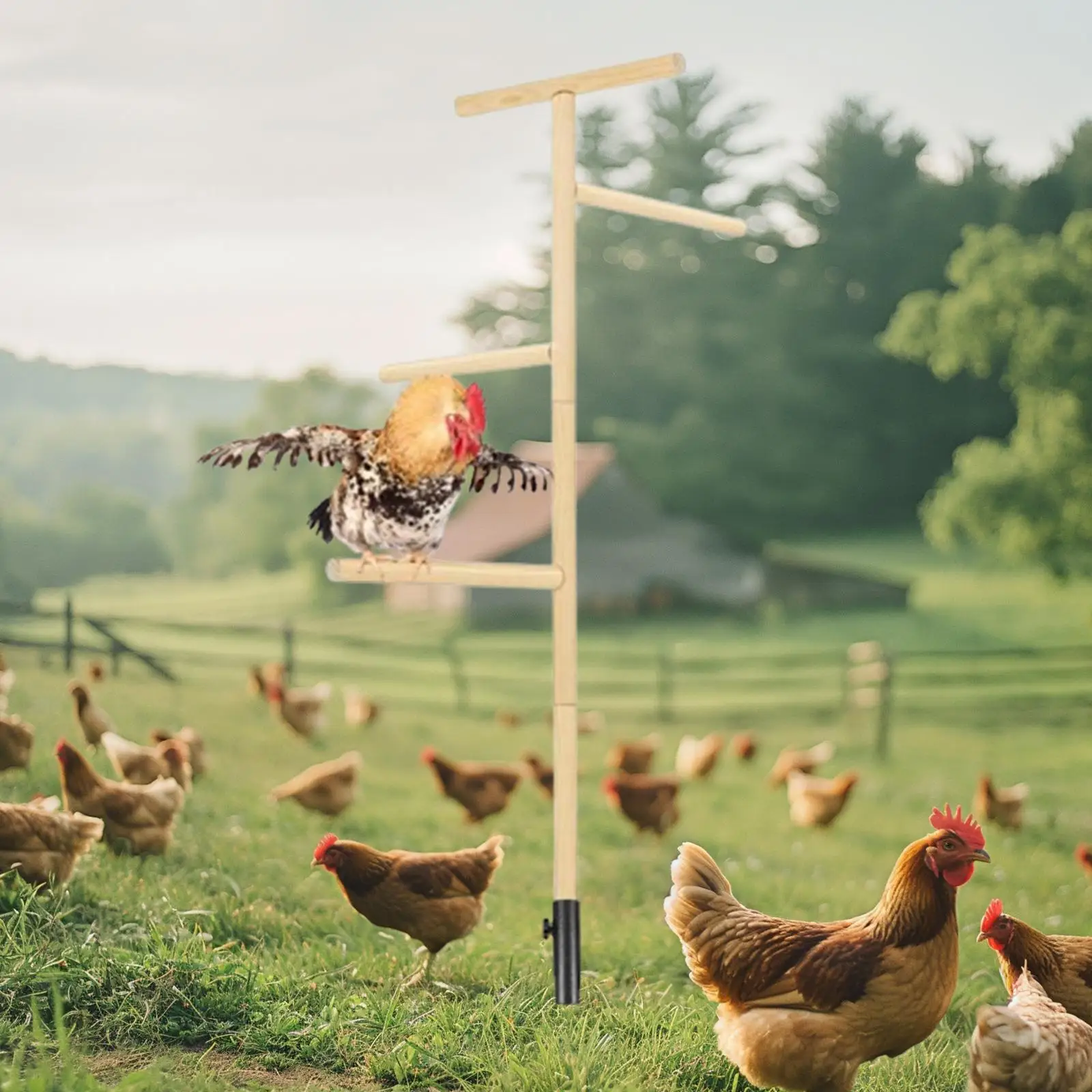 Support de perchoir en bois pour oiseaux, perchoir pour perroquet, accessoires de poulailler