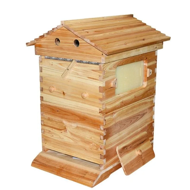 Design Automatic Bee Hive Full Set, Complete Beekeeping System for Easy Harvest & High Yield