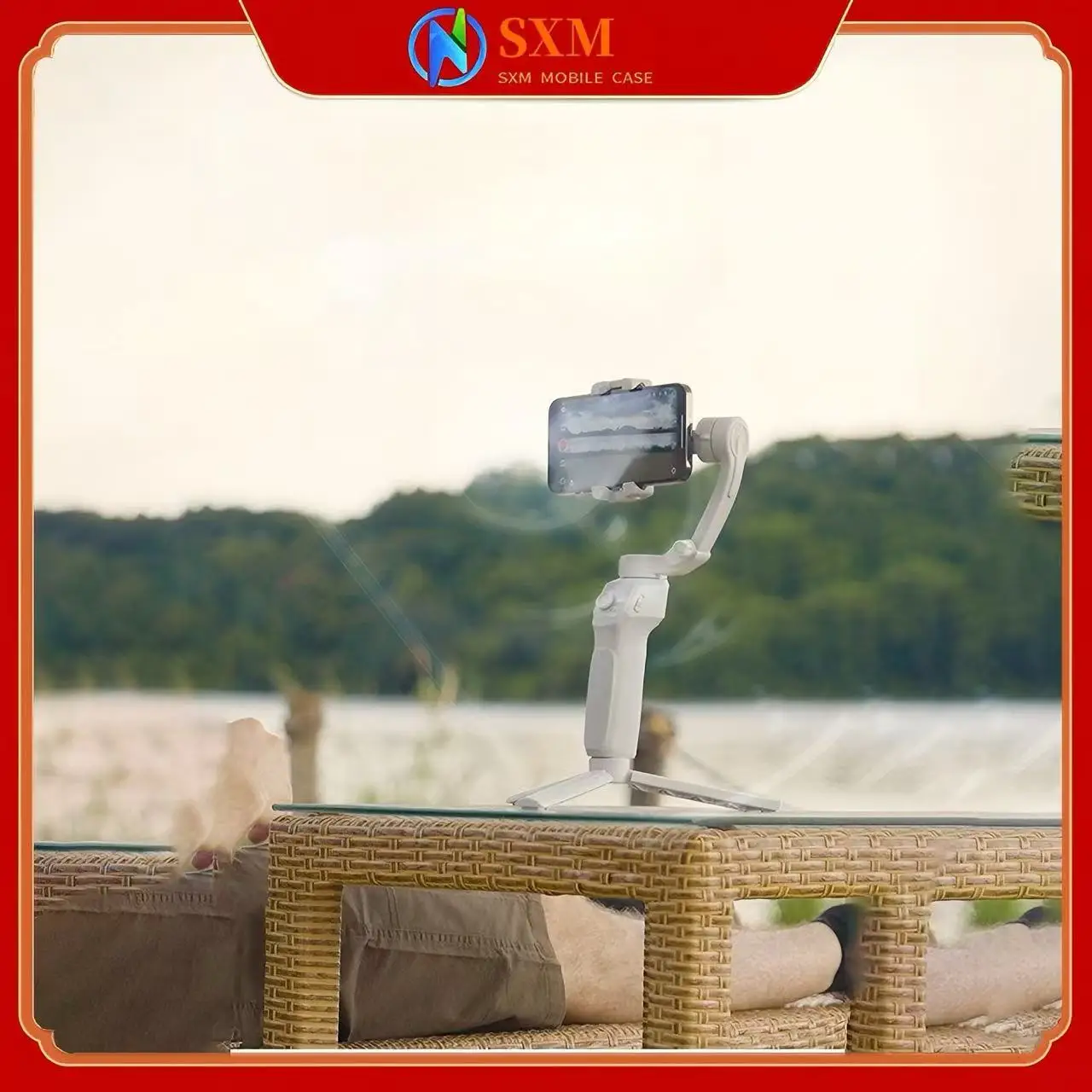 Handheld Gimbal, Th…