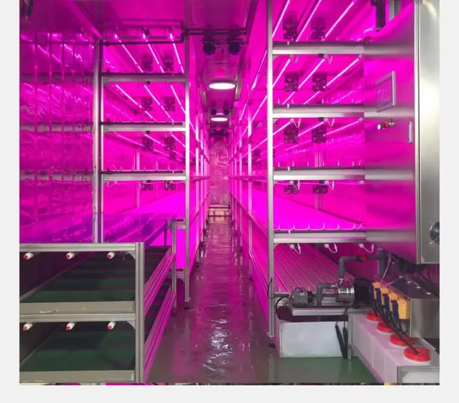 مصنع نباتات الخضروات، حاويات شحن الزراعة المائية، حاويات المائية، الدفيئة للمزارع