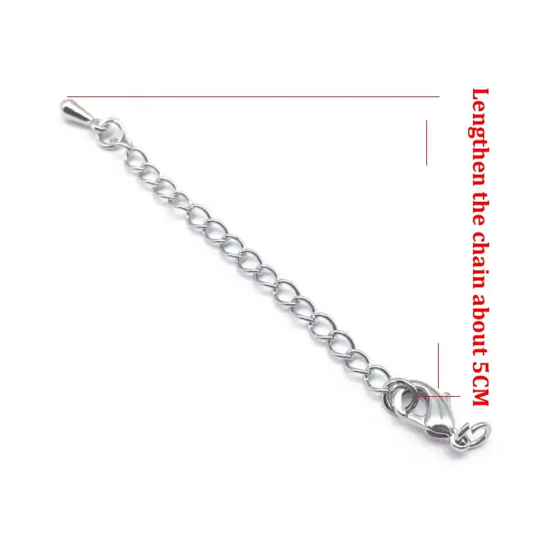 10 teile/los Edelstahl Erweiterte Verlängerung Schwanz Kette Karabiner Stecker Für Armband Halskette Schmuck Machen – Detail 2