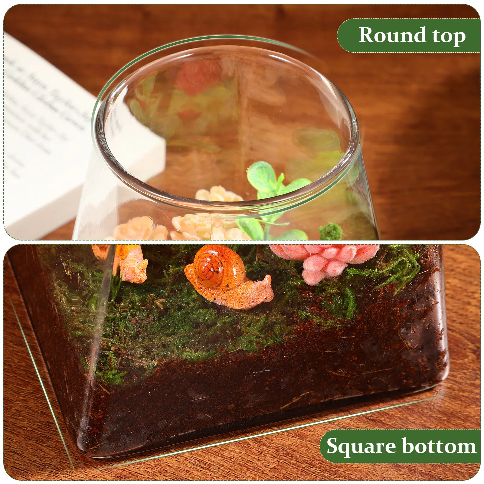 

Square Bottom Round Terrarium Container for Micro Landscape DIY Moss Garden Or Fresh Flower Vase Indoor Desk Coffee