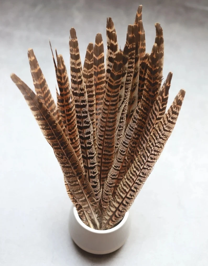 

10/20/50Pcs Natural Female Ringneck Pheasant Tail Feather Feathers 10-35cm Real Craft Feathers for DIY Wedding Party Decoration