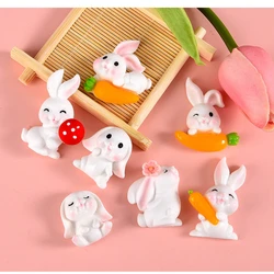 10pcs Carrot Rabbit Resin Flat Back Craft Embellishments Decorazioni in Resina Piccole DIY Jewelry Craft Decoration Accessories