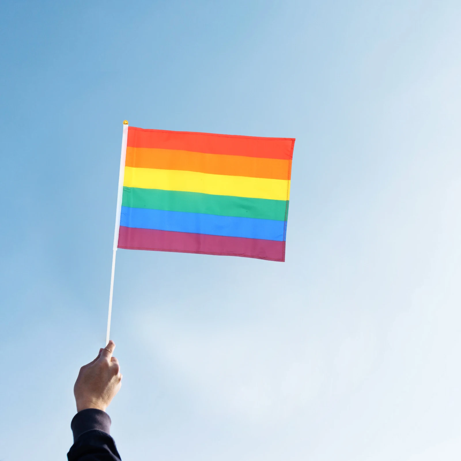

6Pcs Handheld Pride Rainbow Flags Small Outdoor Party Decorations Banners Outdoor Pride Flags Small