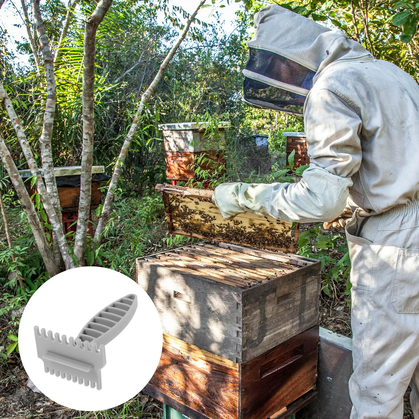 

Ergonomic Plastic Beehive Cleaning Shovel for Frame and Wall Wax Scraping Efficient Hive Maintenance Tool with Non Slip Handle