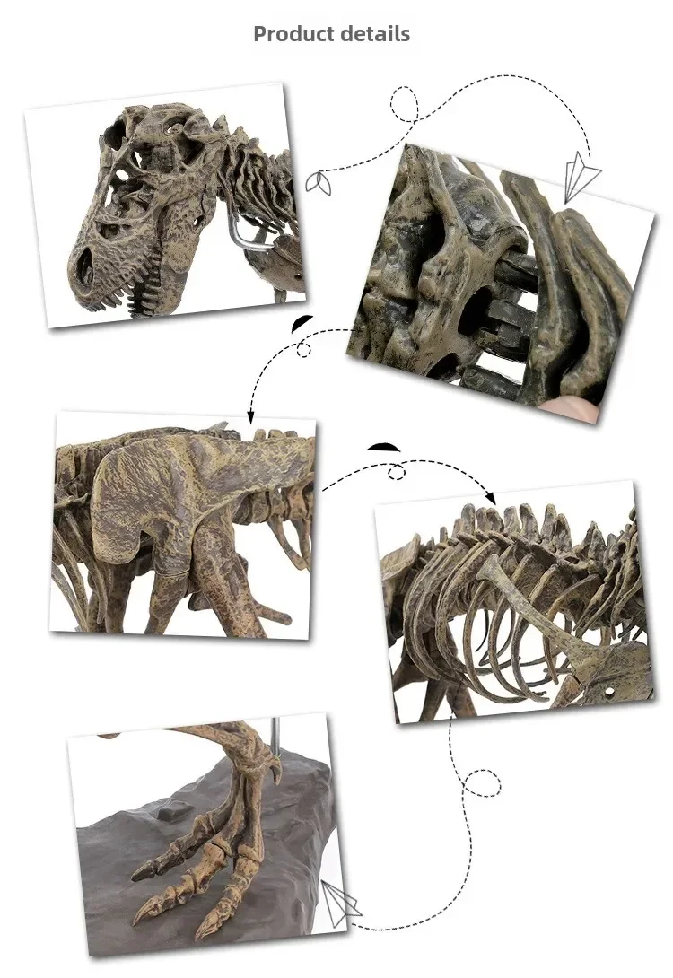 4D Tyrannosaurus Rex Excavation Science Kit Dig Up Dinosaur and Assemble a 4D Skeleton Ancient Animal Fossil Skull 14Years & up